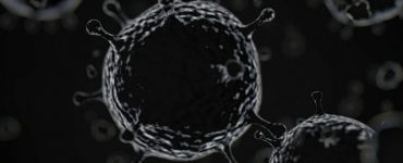 covid-19-jornalistas-brasileiros-fenaj-bahia-mortes-990x556