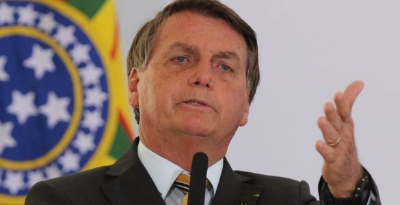 presidente jair bolsonaro - relatório da artigo 19 - afirmações falsas ou enganosas