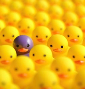 Qual é o seu lugar? - por Hermann Hesse