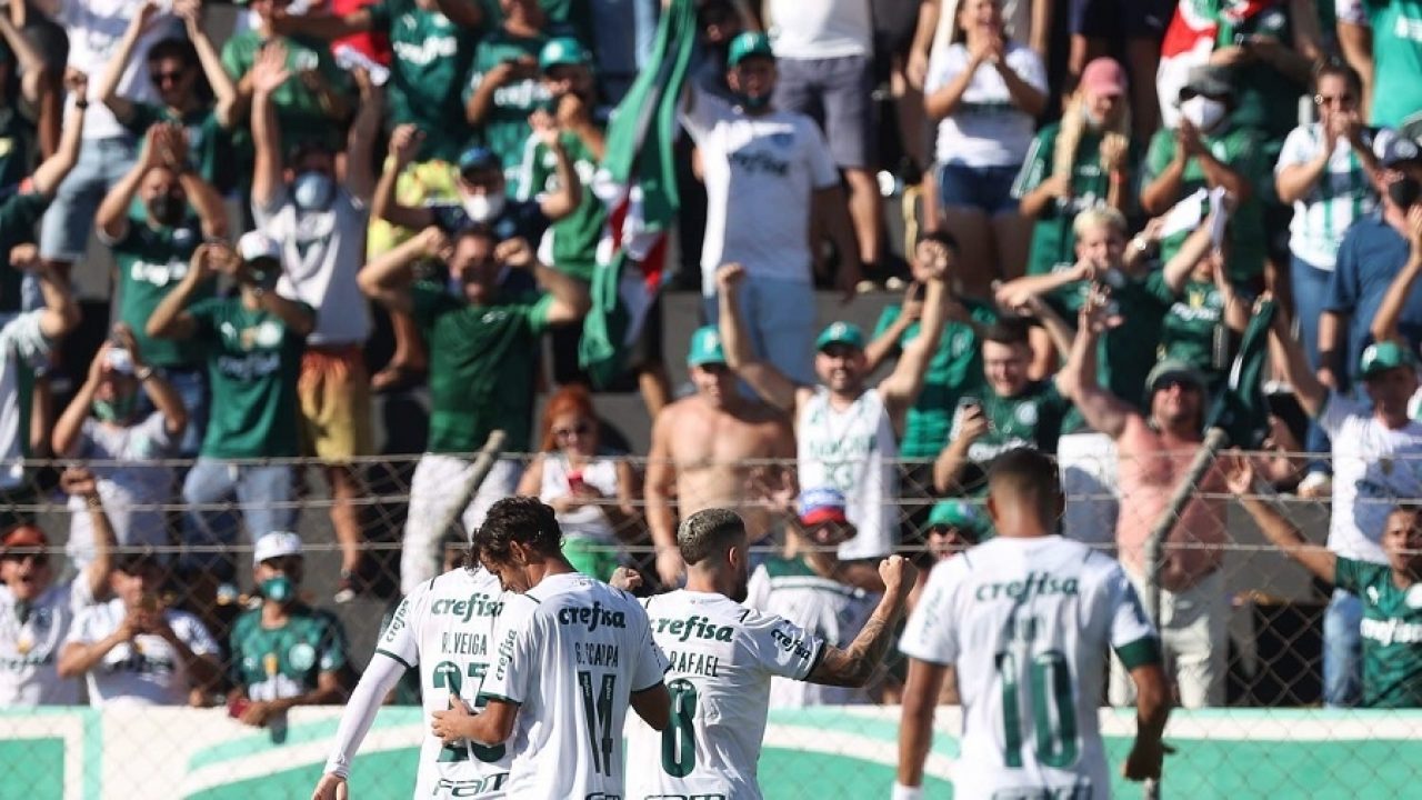 Veja fotos do jogo entre Novorizontino e Palmeiras - Fotos - R7 Futebol