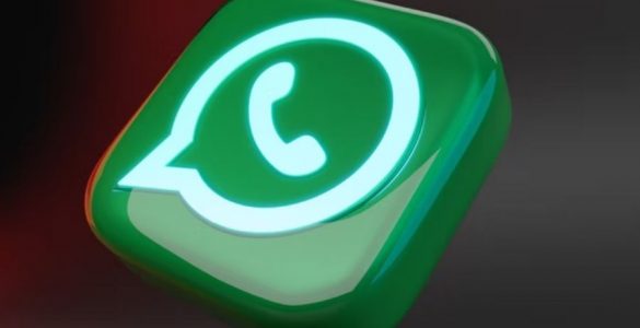 Conquiste pessoas pelo WhatsApp - workshop com joão paulo borges