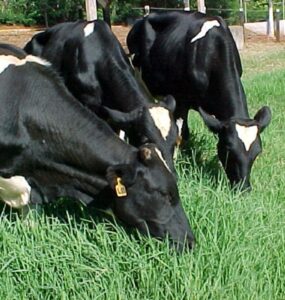 MUU fecha com a UEPG para rastreabilidade biométrica