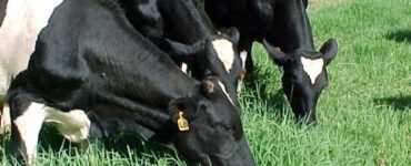 MUU fecha com a UEPG para rastreabilidade biométrica