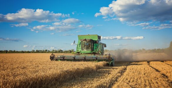 Puxado pelo agronegócio, PIB de Mato Grosso cresce 1.116,2%