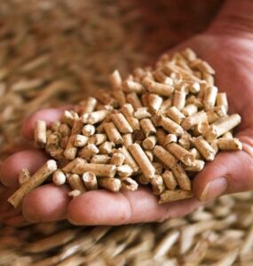 Relatório prevê crescimento do mercado de pellets de madeira