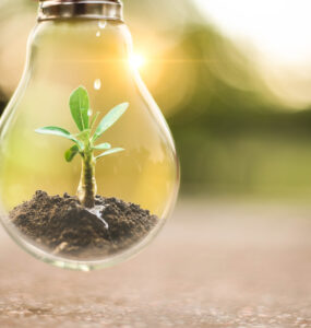TÜV Rheinland reconhece Siemens Brasil em Sustentabilidade