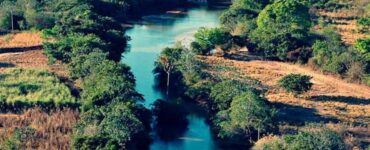 Dia do Cerrado é comemorado em 11 de setembro