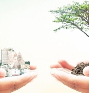 Sustentabilidade pode auxiliar evolução de grandes empresas