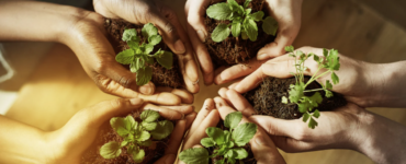 Dia do Educador Ambiental é comemorado em 15 de outubro
