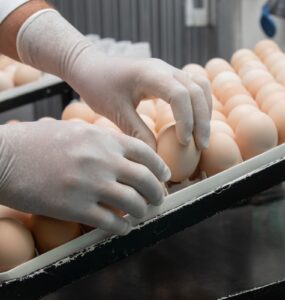 Dia do Ovo: Boehringer destaca ciência na alimentação