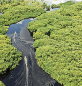 Belterra, na Amazônia, quer ser a "Machu Picchu brasileira"