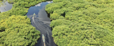 Belterra, na Amazônia, quer ser a "Machu Picchu brasileira"