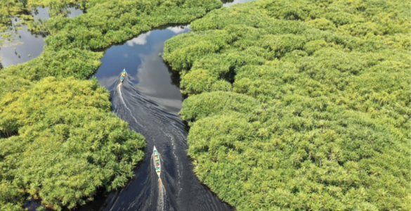 Belterra, na Amazônia, quer ser a "Machu Picchu brasileira"