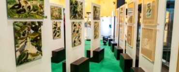 Exposição com acervo de Goeldi segue para o Rio de Janeiro