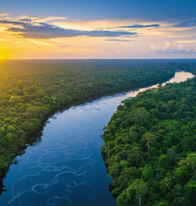 Amazônia é foco de conferência internacional em novembro