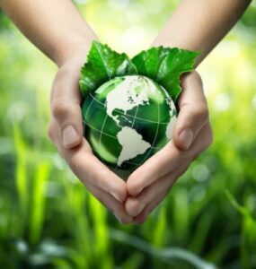 Agricultura tropical sustentável é debatida no Fórum do Futuro Noruega