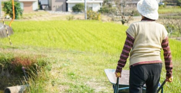 Selo Biocombustível Social impulsiona mulheres rurais