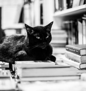 Autor A. R. dos Santos lança livro de poesia sobre a fauna