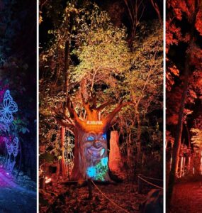 Wonder Park Foz inaugura nova atração "Lumina"