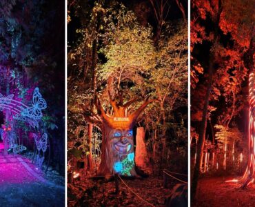 Wonder Park Foz inaugura nova atração "Lumina"