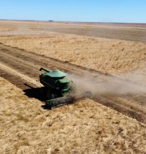 Agronegócio Estrondo inicia plantio de braquiária ruziziensi