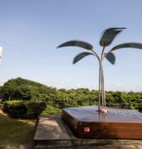 Patrus Transportes: ESG conecta negócios e meio ambiente