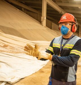 Oferta de emprego: empresa abre 28 vagas em Rio Verde