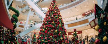 Boulevard Shopping celebra o “Natal Divertido dos Ursos”