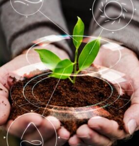 Prática ESG traz desafios para o comércio internacional