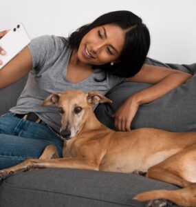StartVet amplia atendimento com telemedicina veterinária