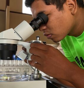 Museu de Ciência da Amazônia impulsiona economia verde