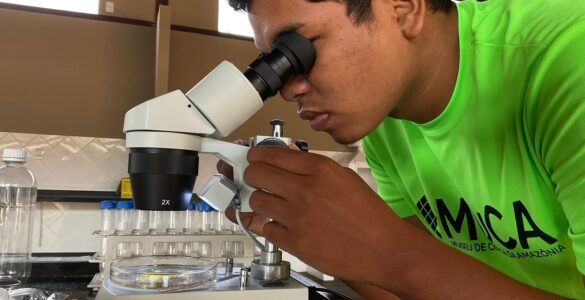 Museu de Ciência da Amazônia impulsiona economia verde