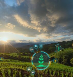 Grandes empresas do agro têm maior maturidade tecnológica