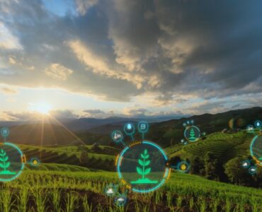 Grandes empresas do agro têm maior maturidade tecnológica