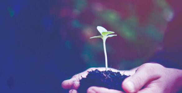 Cirion lança seu segundo Relatório de Sustentabilidade