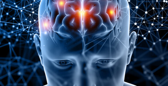 Bilinguismo estimula a memória e combate o declínio mental