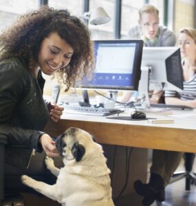 Escritórios abrem portas para os pets e colhem benefícios
