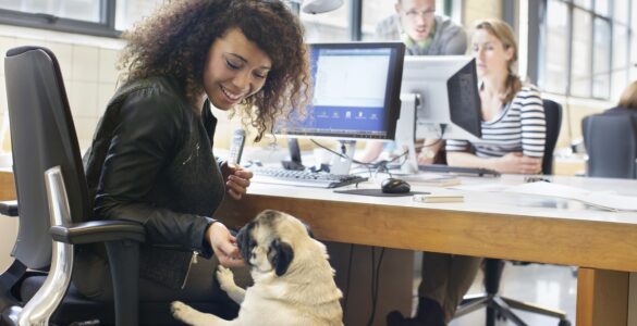 Escritórios abrem portas para os pets e colhem benefícios