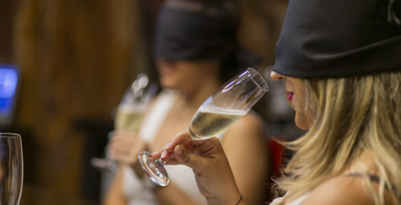 Colheita da uva inspira enoexperiências em vinícola gaúcha