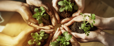 Dia Mundial da Educação Ambiental incentiva práticas sustentáveis