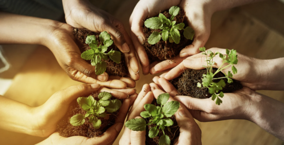 Dia Mundial da Educação Ambiental incentiva práticas sustentáveis