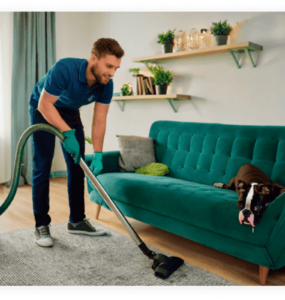 Lares com pets precisam de cuidados especiais na limpeza