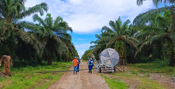 Grupo BBF desenvolve projeto de adubação sustentável no Pará