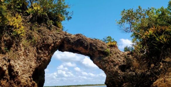 Gestão nova de Ilhéus propõe apoio ao turismo sustentável na cidade