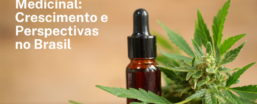 Cannabis medicinal demonstra crescimento otimista no Brasil