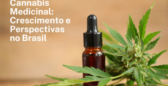 Cannabis medicinal demonstra crescimento otimista no Brasil