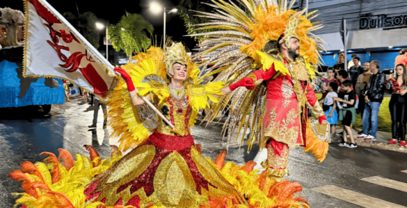 Escola de samba sobe a avenida com enredo sobre preservação ambiental