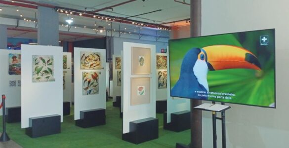 Exposição O Legado Suíço Brasileiro na Amazônia está em Nova Friburgo–RJ