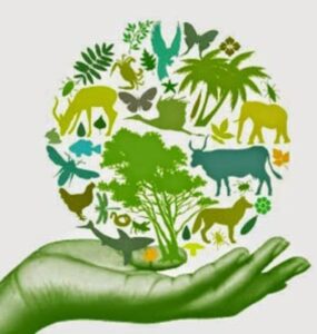 Turismo sustentável reduz os impactos socioambientais e estimula a economia