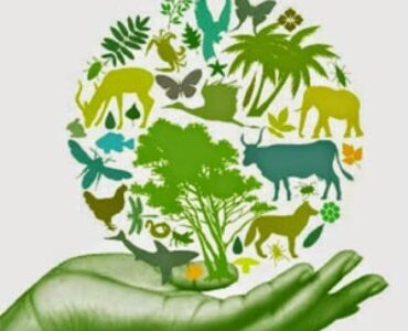 Turismo sustentável reduz os impactos socioambientais e estimula a economia
